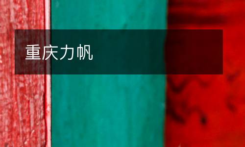 重庆力帆